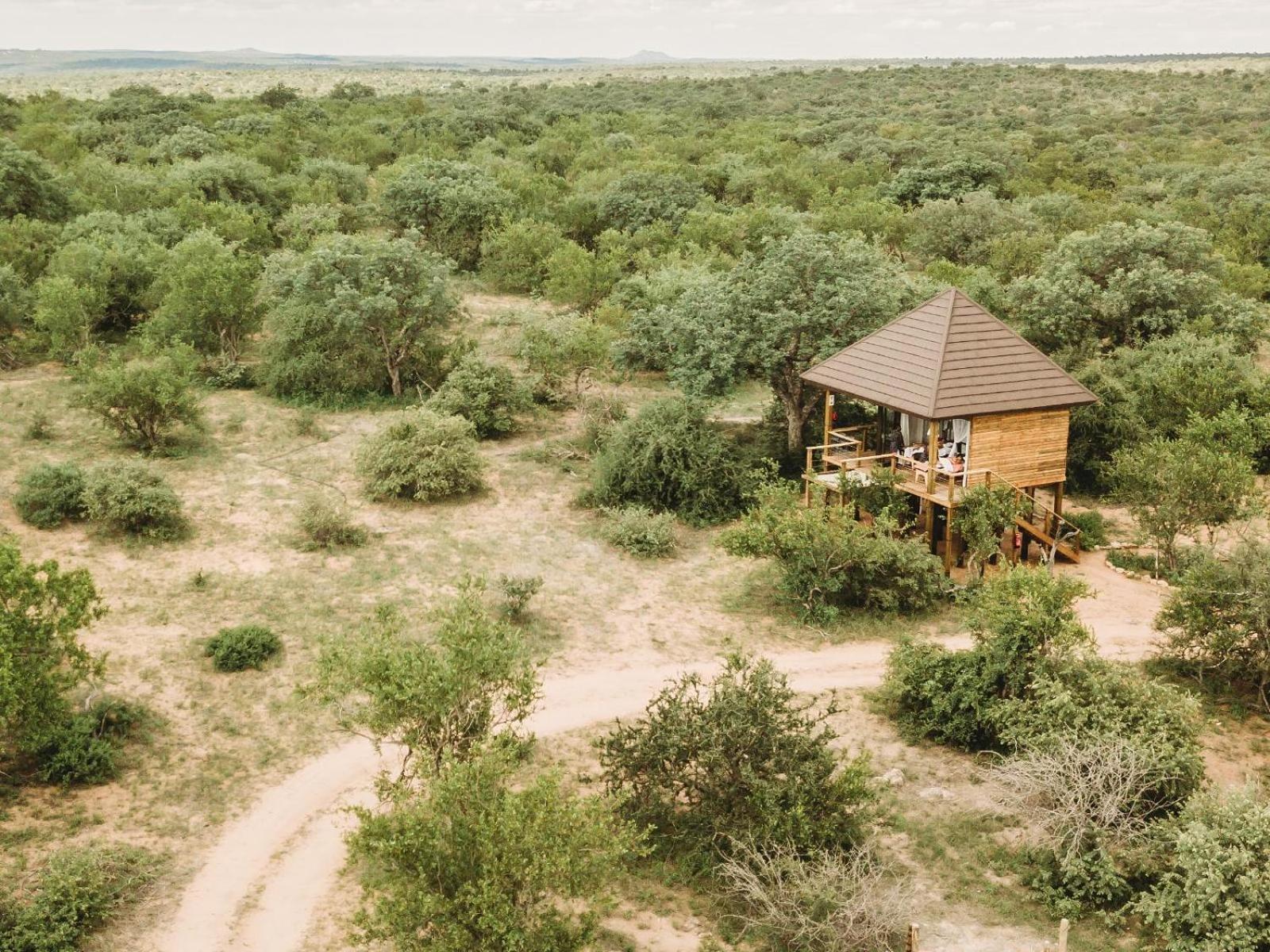 Maroelani Lodge- Greater Kruger Private Reserve Hoedspruit Habitación foto